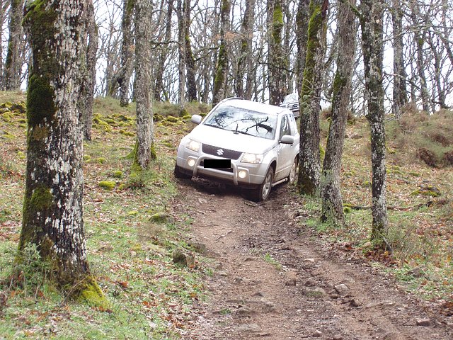 5 suzuki en el jerte copia