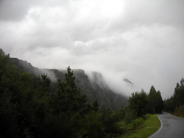DSCN8486 DSCN8486