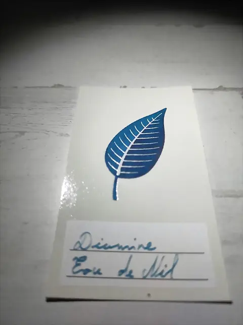 diamine-eau_de_nil diamine-eau_de_nil