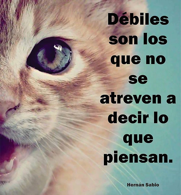 DEBILES SON LOS COBARDES DEBILES SON LOS COBARDES