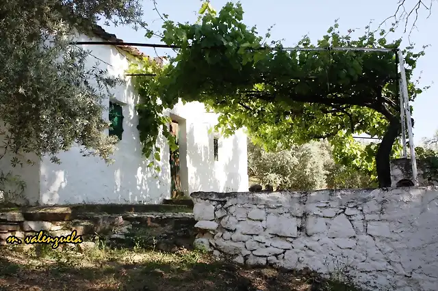 018, cortijo del joyo, marca