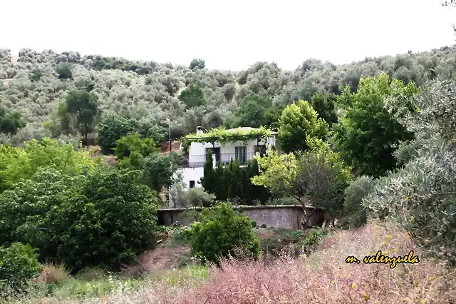 cortijo Paredes, marca