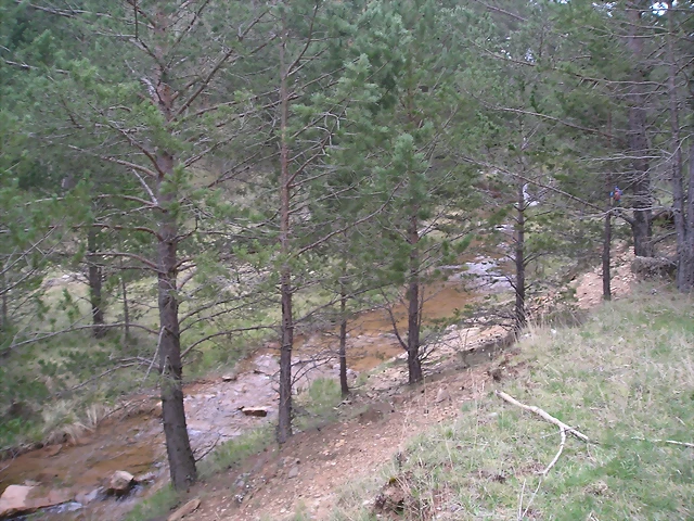P1012269