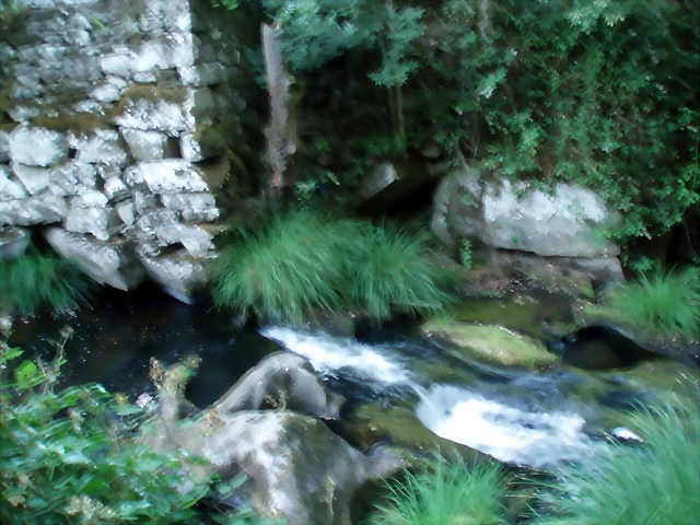 P1010202 P1010202