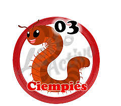 ciempies