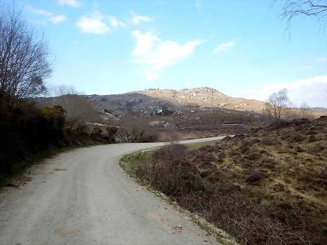 DSCN9536 DSCN9536