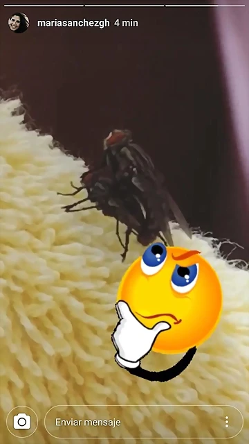 Video Mar?a IG Stories 10-8-2018 (2) Video Mar?a IG Stories 10-8-2018 (2)