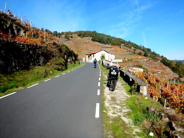 DSCN1544 DSCN1544