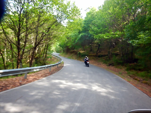 DSCN5142 DSCN5142