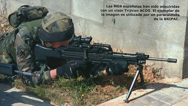 mg10 (1)