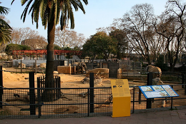 Zoo de Barcelona 13-02-11 063 Zoo de Barcelona 13-02-11 063