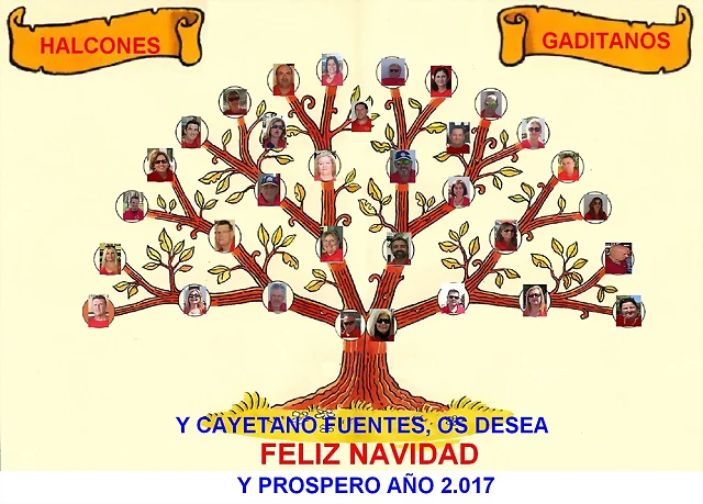 ARBOL