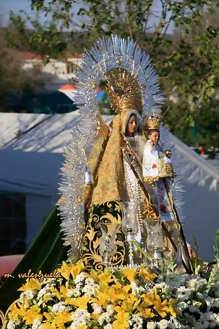 034, flores de la ofrenda 2, marca