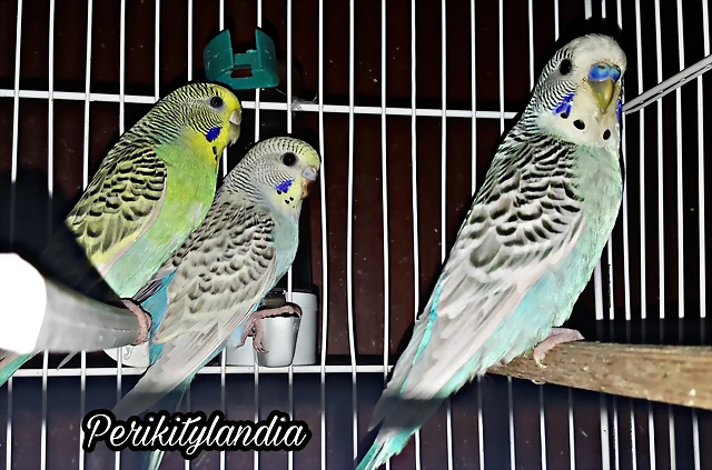 PicsArt_03-06-09.29.46