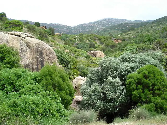 cabo bon t?nez Jebel_Korbous