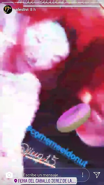 Video Ales IG Stories 12-5-2018 (8)