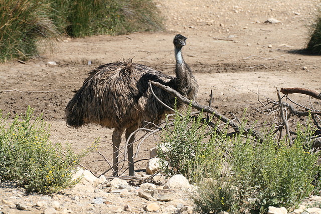 Zoo Lunaret + Sigean 18 i 19-09-10 2023 Zoo Lunaret + Sigean 18 i 19-09-10 2023