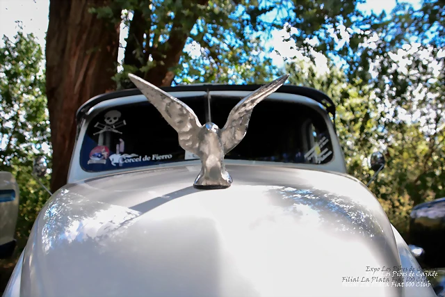 DSC_0104 DSC_0104
