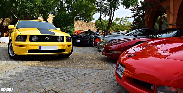DSC_0861 DSC_0861