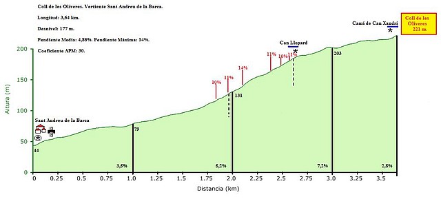 perfil del coll de les oliveres