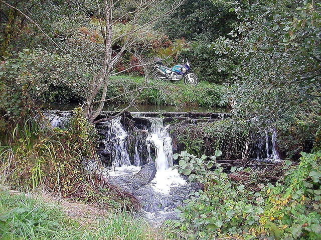 DSCN5356 DSCN5356