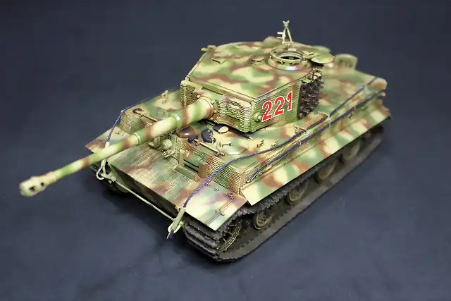 TIGER15