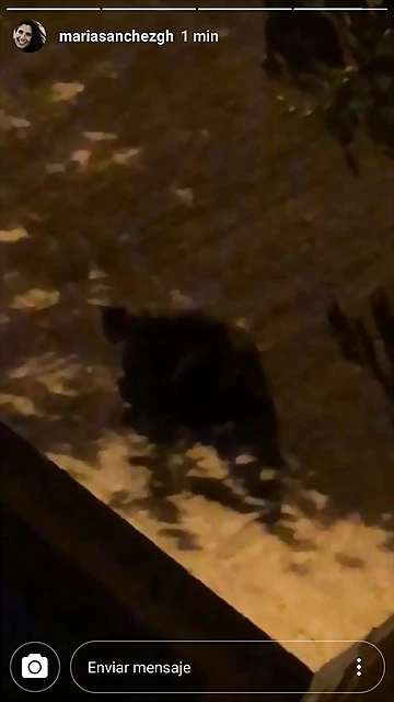 Video Mar?a IG Stories 12-8-2018 (8) Video Mar?a IG Stories 12-8-2018 (8)