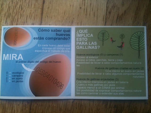 huevos huevos