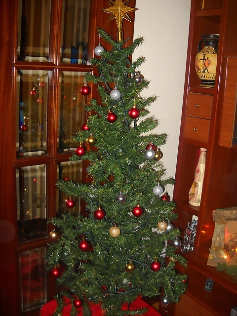 DSCN2333 DSCN2333