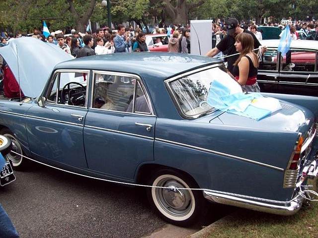 Maravilloso ejemplar_800x600