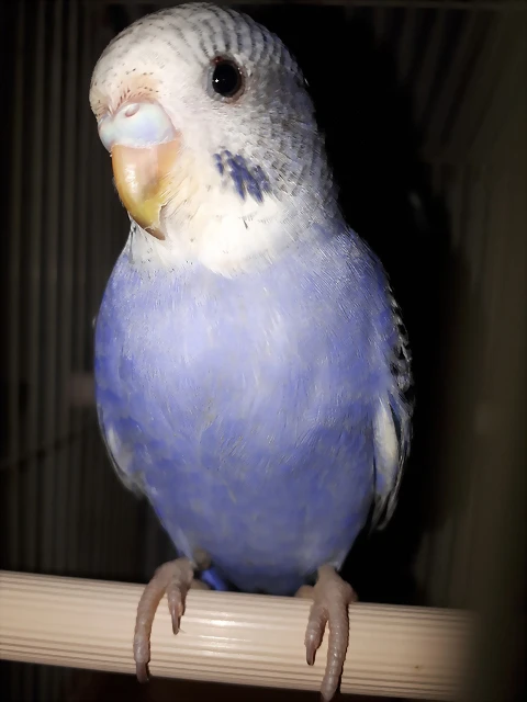 20180918_205419 20180918_205419