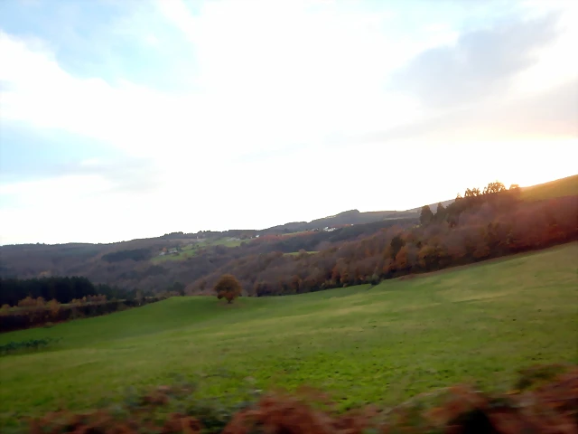 DSCN0623 DSCN0623
