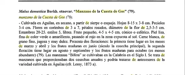 manzano cuesta de gos diego