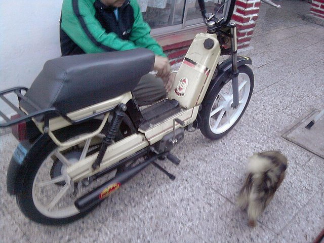 recien comprada jaja