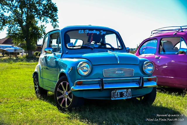 DSC_0223 DSC_0223