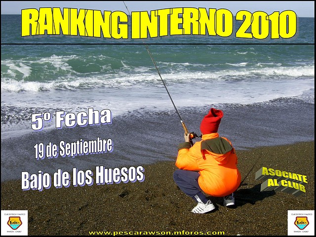 5 Ranking Interno 2010