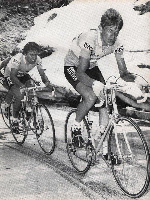 CONTINI,PRIM,GIRO,1982