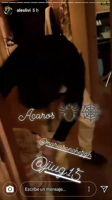 Video Ales IG Stories 11-5-2018 (11) Video Ales IG Stories 11-5-2018 (11)
