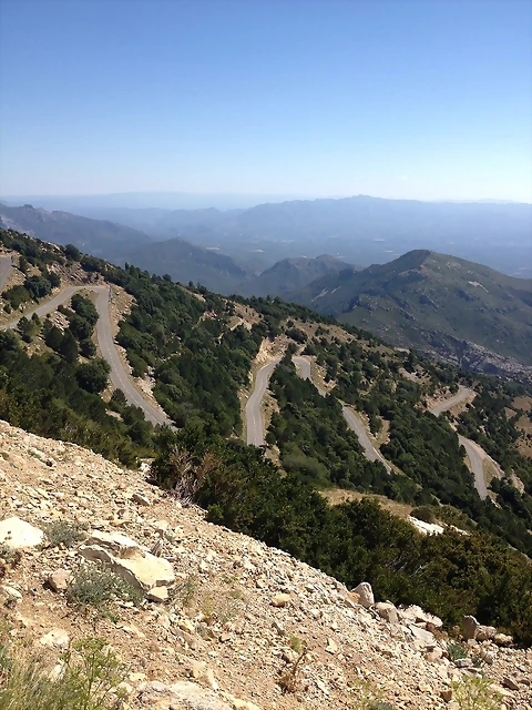 IMG_2677 IMG_2677