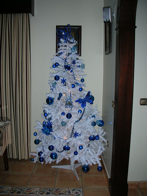 arbol 1 arbol 1
