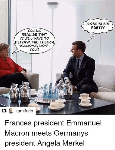 you-do-realise-that-youll-have-to-reform-the-french-20096105