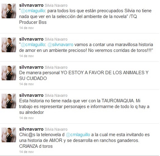 silviaexplicalahistoriadelanovela