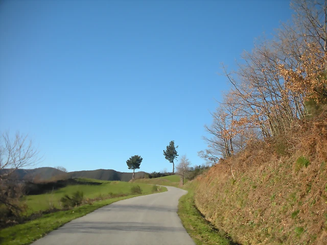 DSCN2994 DSCN2994