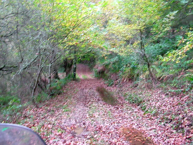 DSCN6287 DSCN6287
