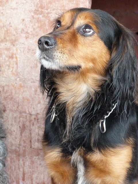 aramis3 aramis3