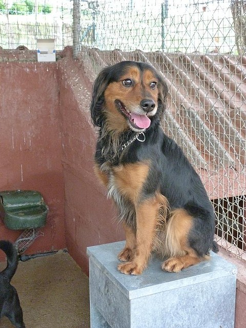 aramis1 aramis1