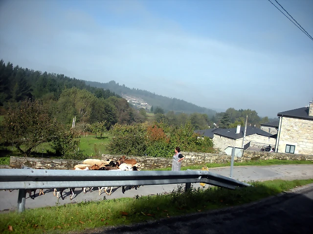 DSCN9796 DSCN9796