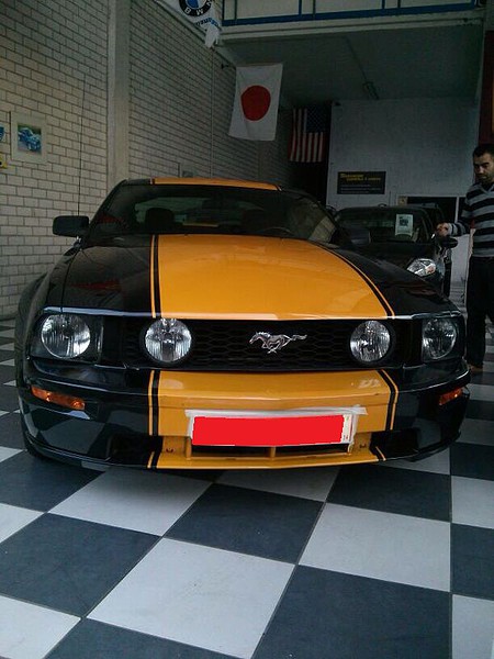 MUSTANG chiguy41 (6)