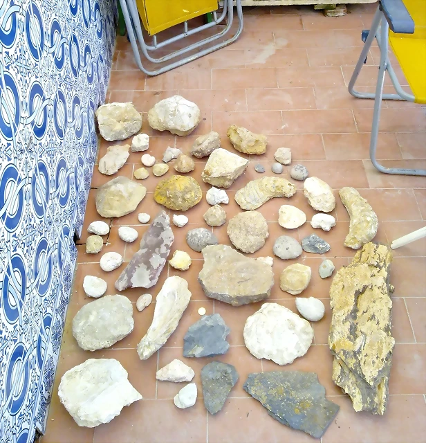 lote.jpg lote.jpg