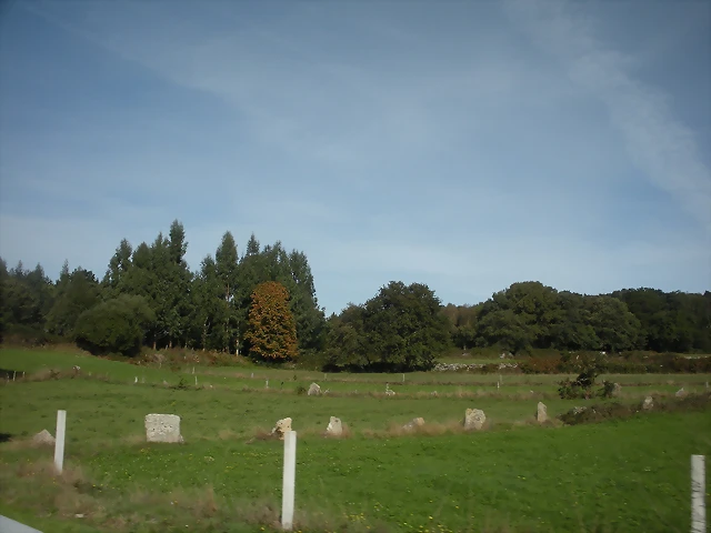 DSCN9728 DSCN9728